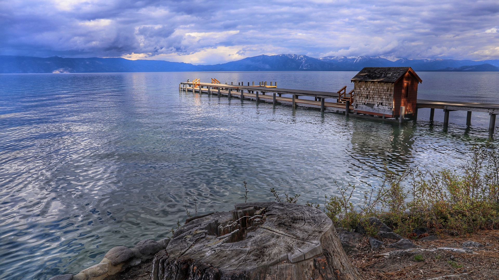 море, настенный ящик, трава