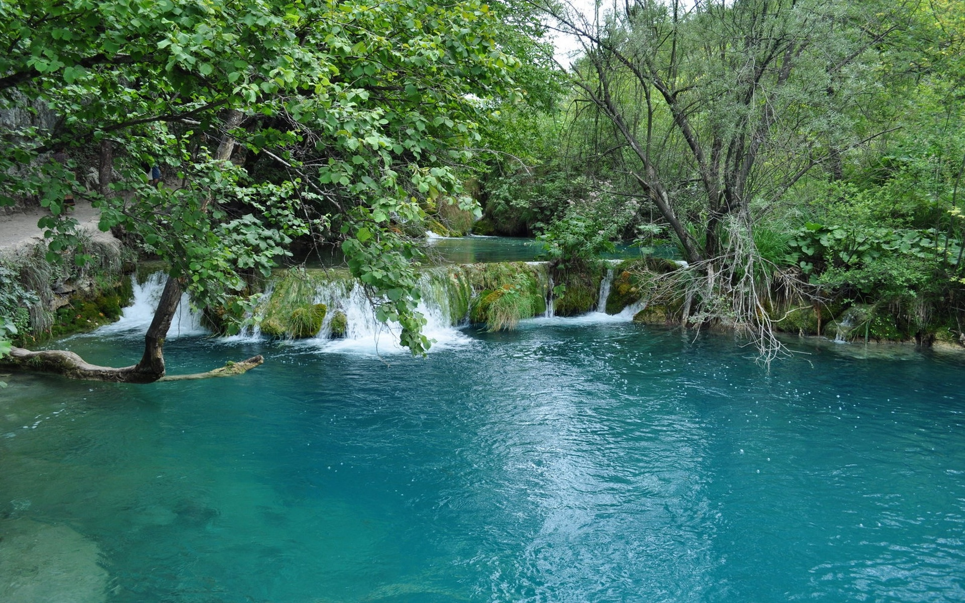jezera, plitvicka, plitvice