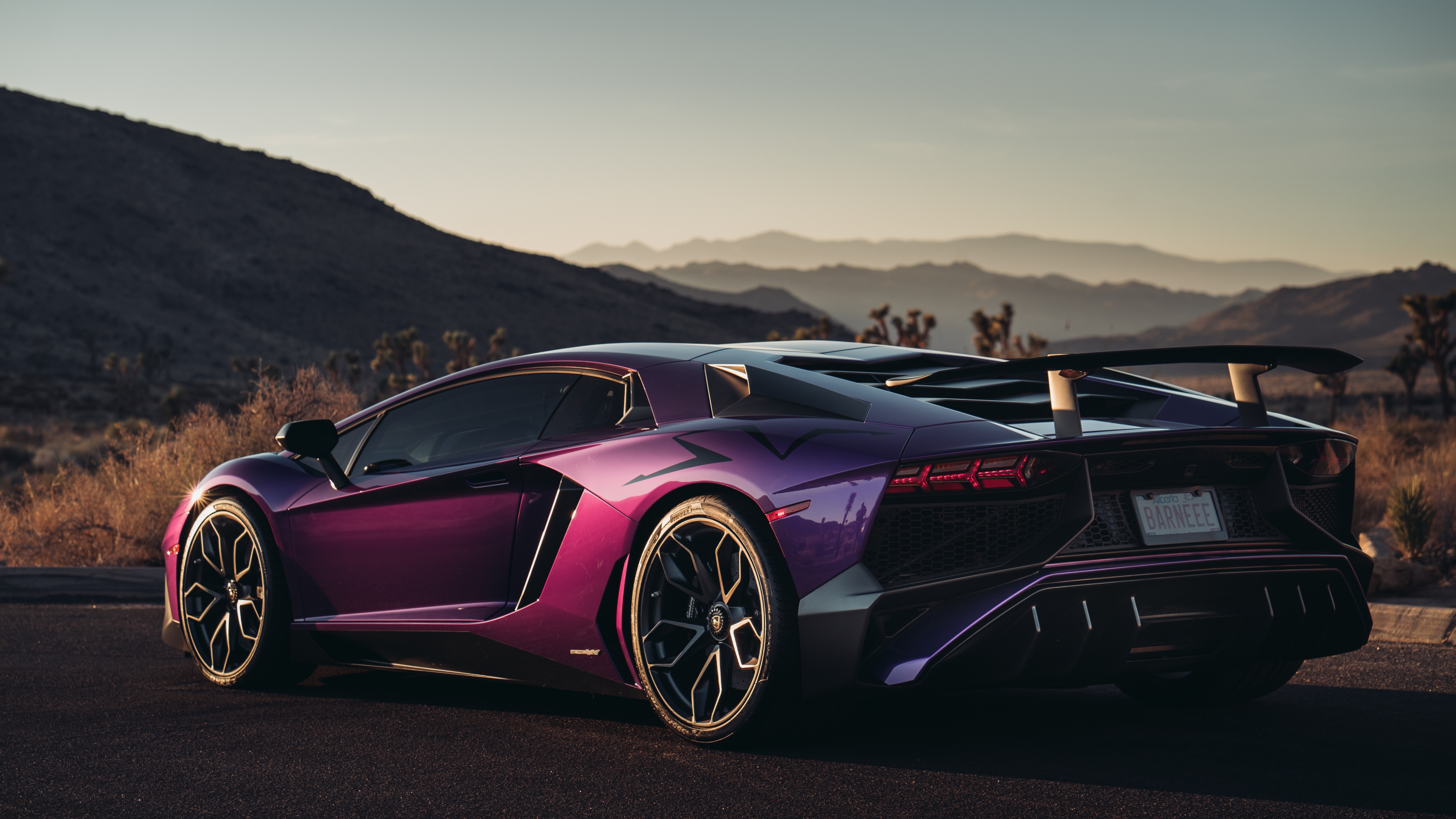 фиолетовый, aventador, stand