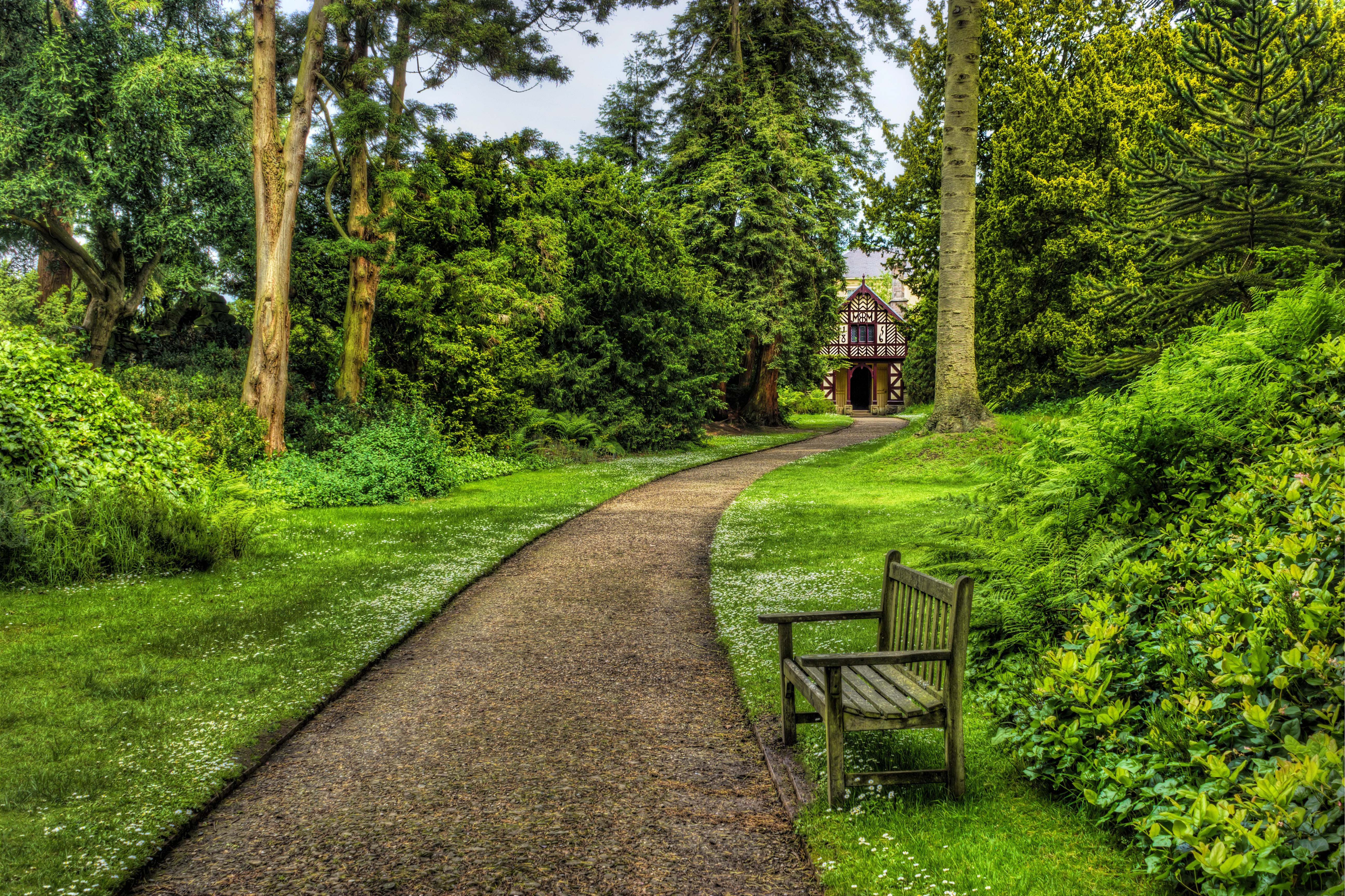 Красивый парк рядом. Тисовая аллея в Англии. Биддалф гранж. Трент парк Англия. Английский пейзажный парк аллея.