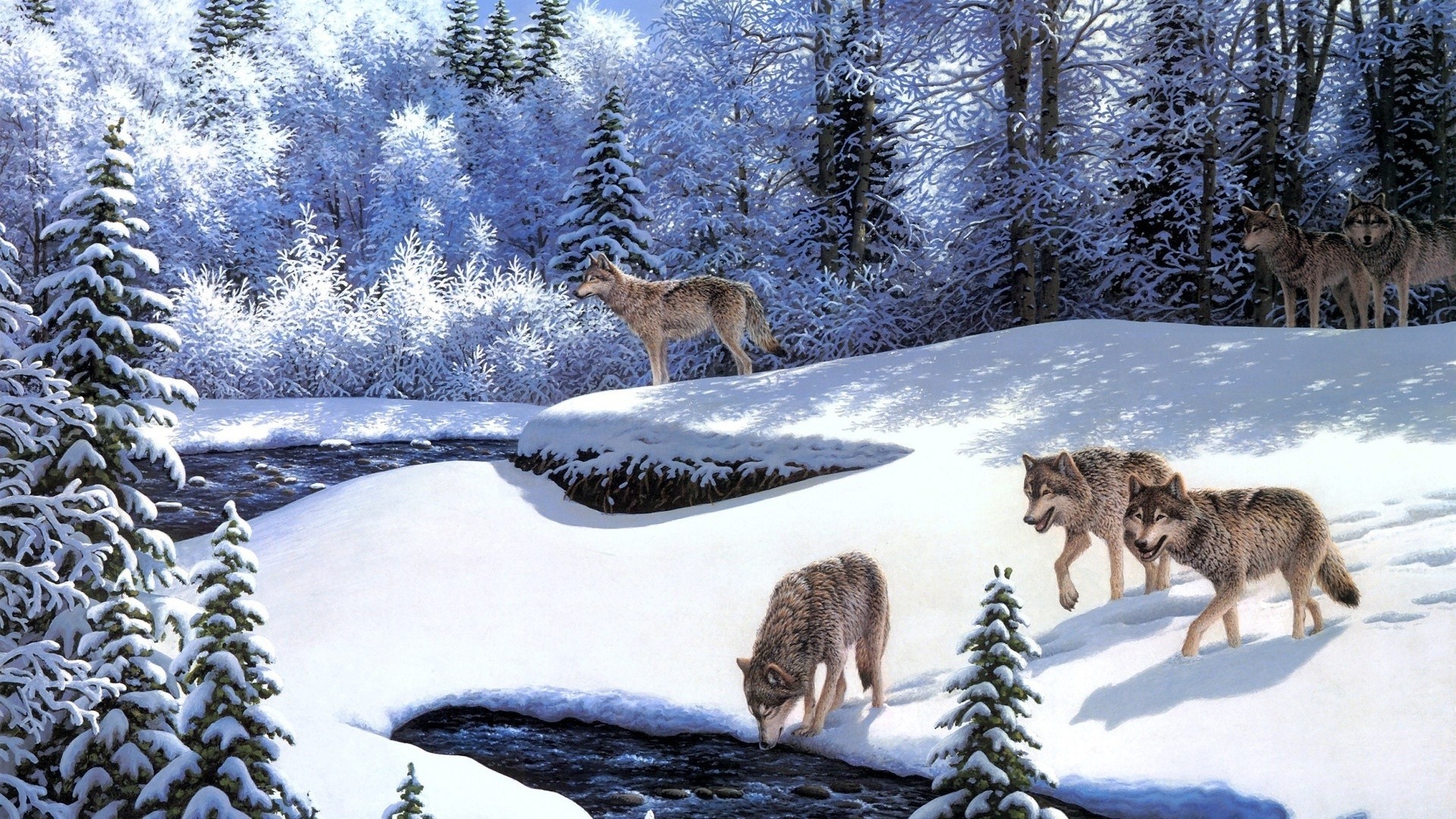 зима, лес