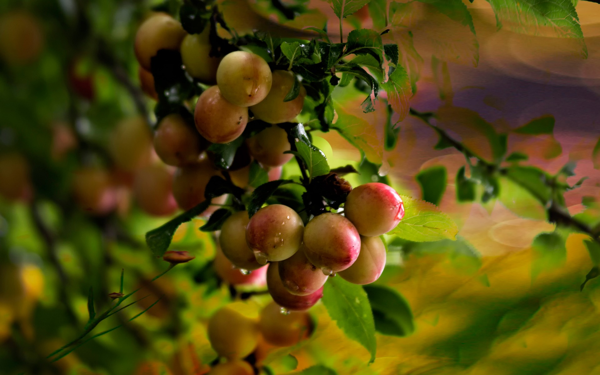 тонкий, pinterest, больше