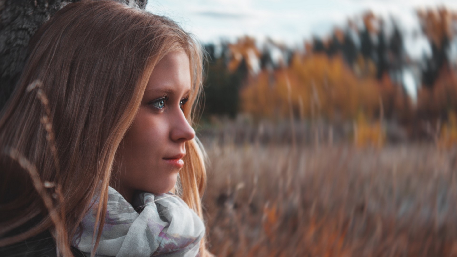 характеристика, фото