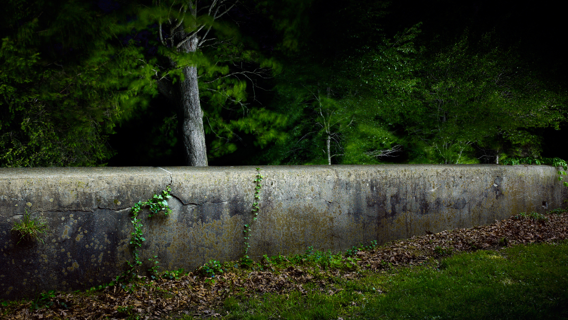 гарольд, розс, финнкрафт