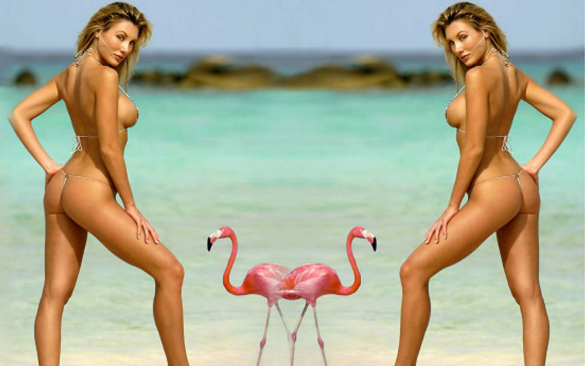 арафы в бикини, стоящие рядом с фламинго на пляже