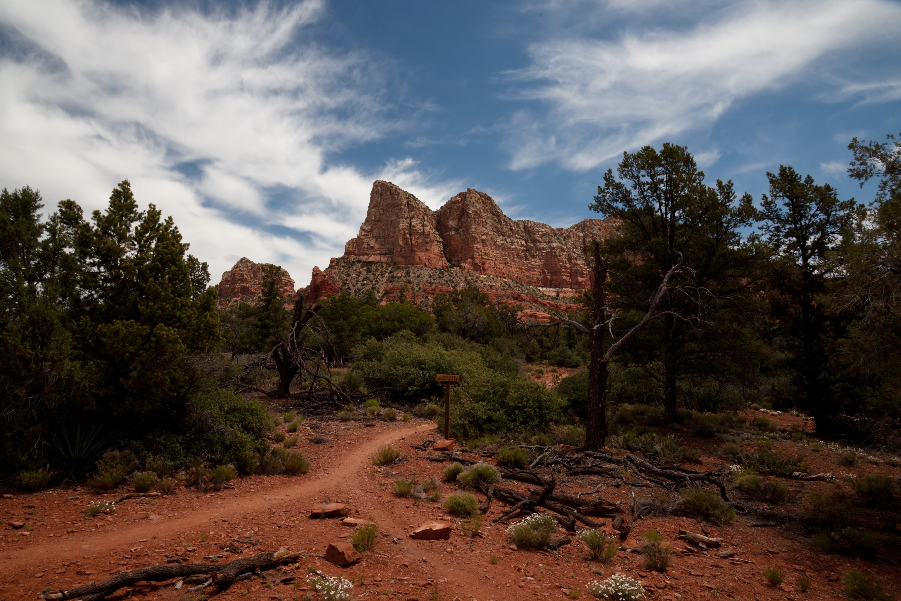 Arizona mountain. Горы Седоны Аризона. Штат Аризона природа. Штат Аризона гора. Sedona Arizona USA.