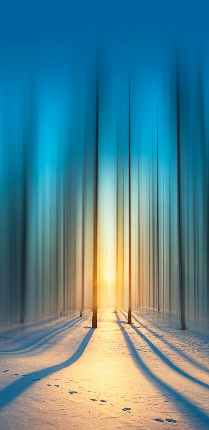 размытое фото леса с заходом солнца вдали