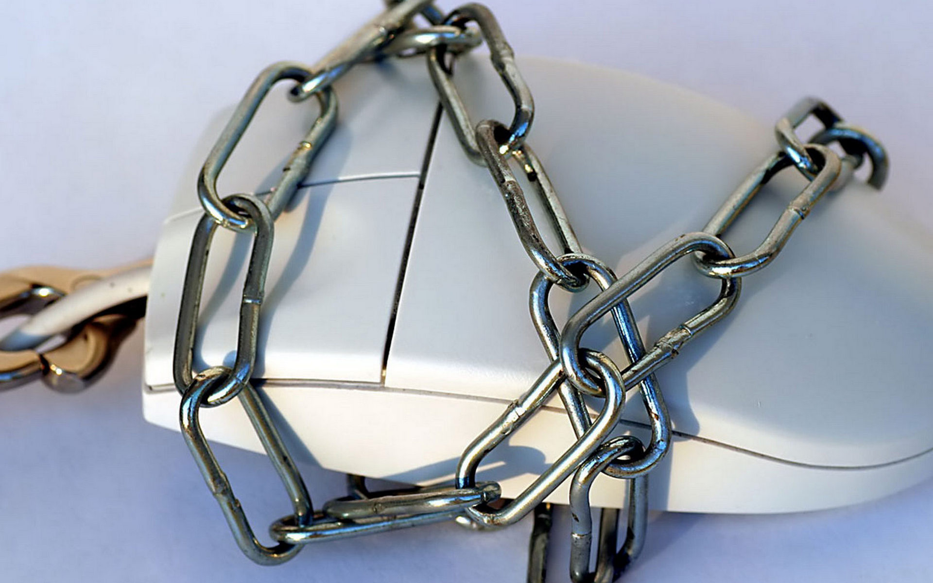 seguridad, internet, los