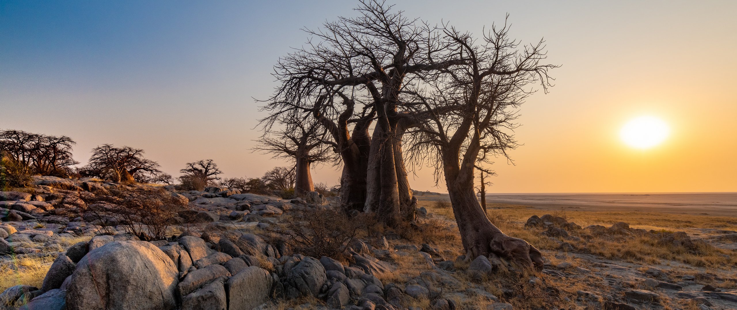 botswana