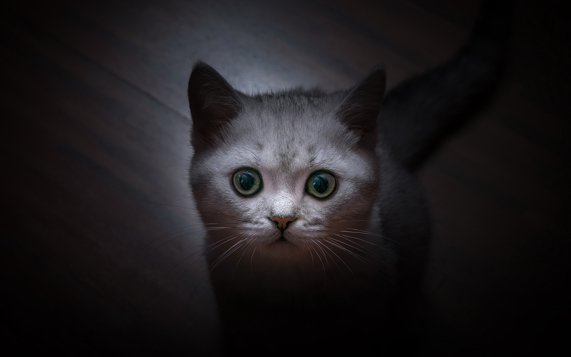 бритский