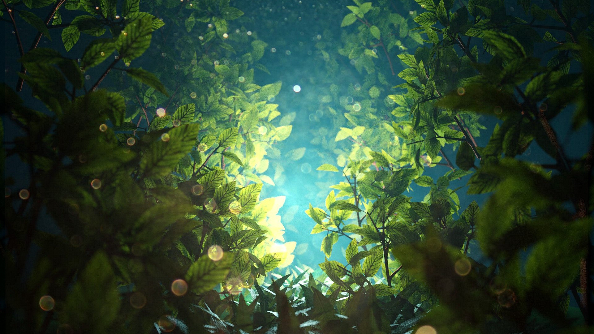 светлое, ветвь