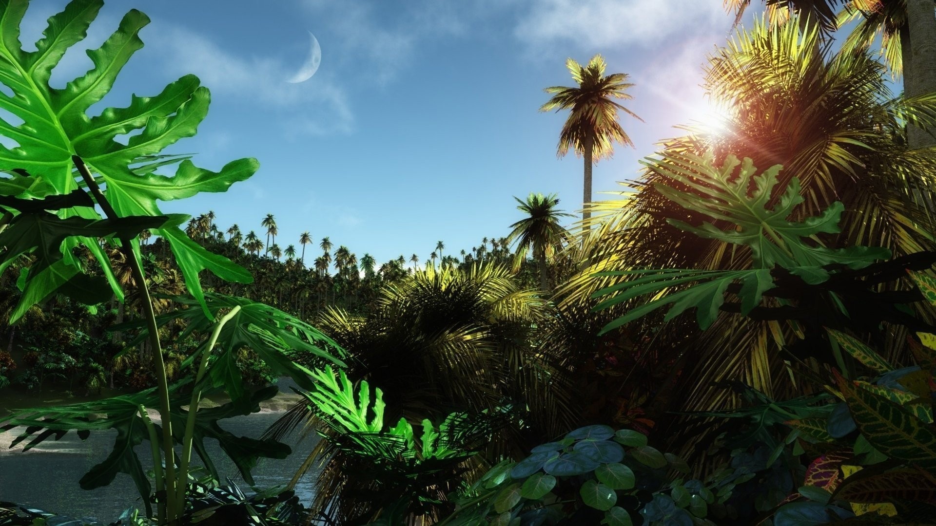 oir, stoktropicheskii