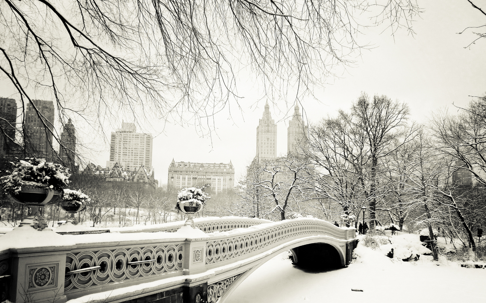 bridge, park