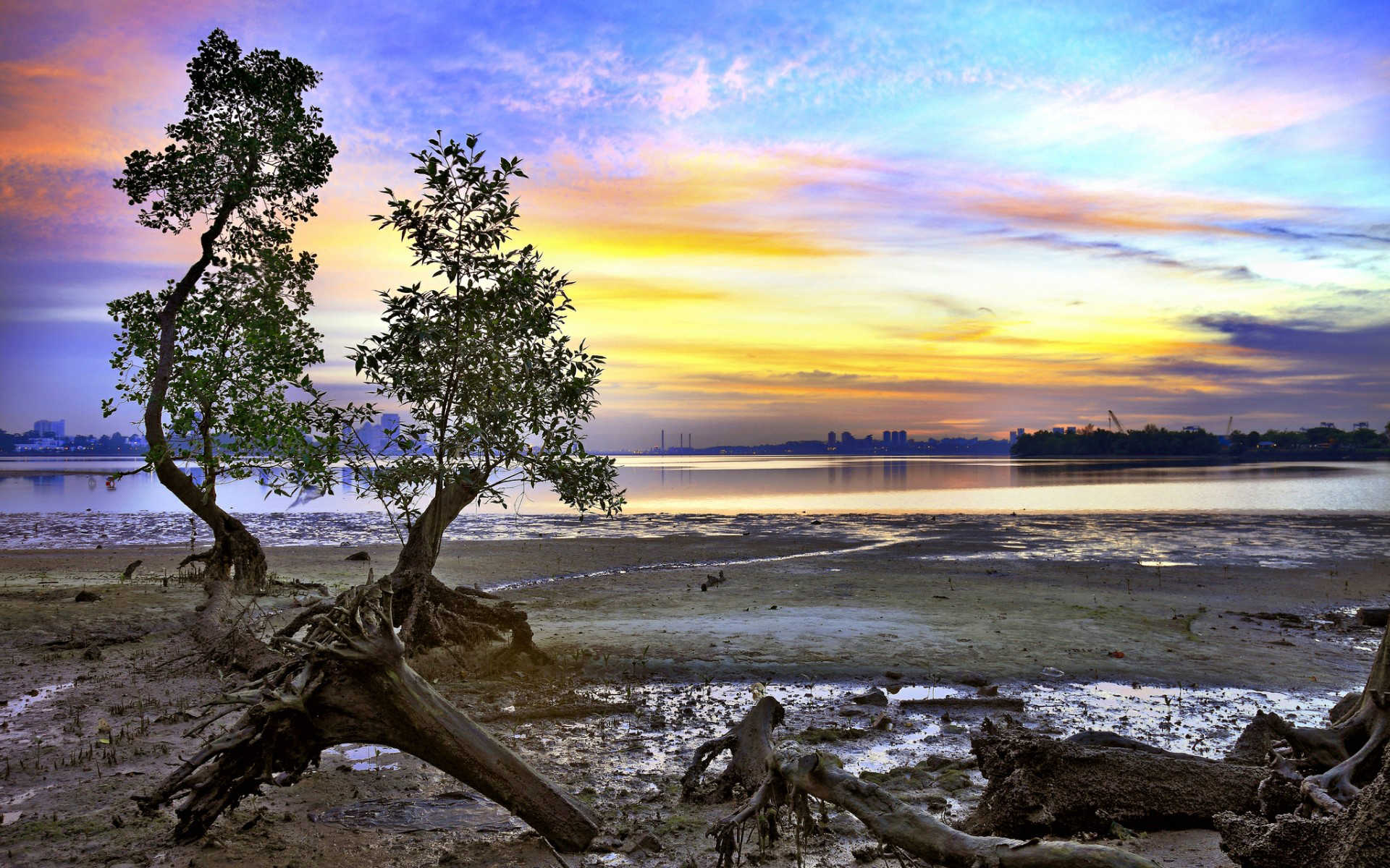 буддхист, малайзия, св