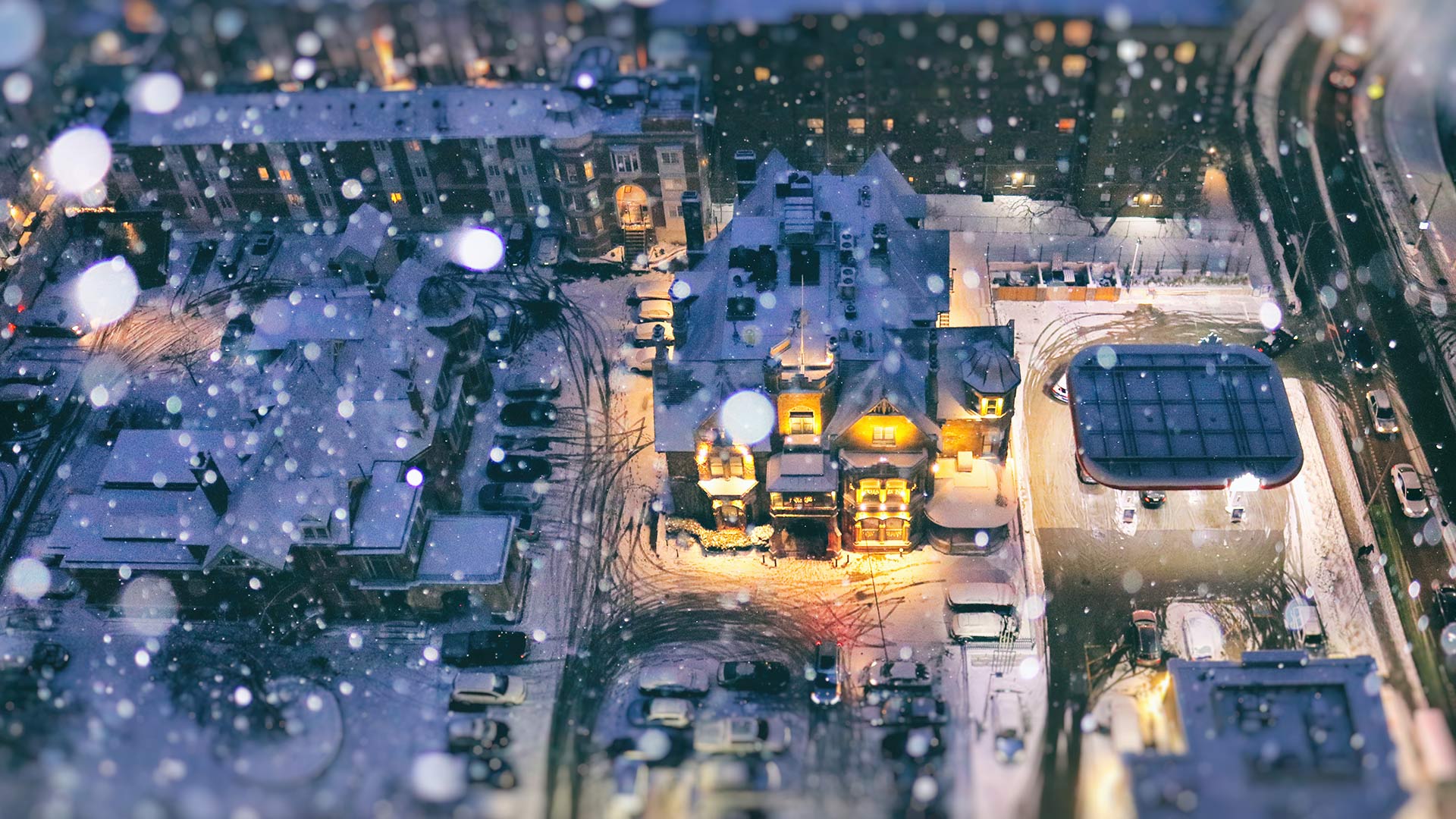 winter, toronto