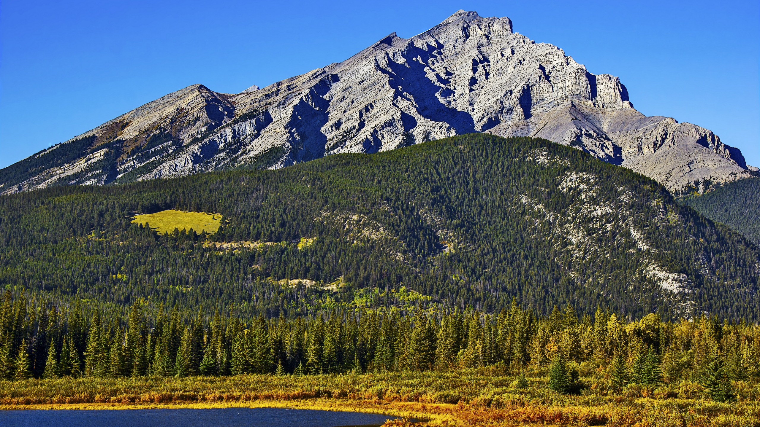 горы с озером и лесом на переднем плане