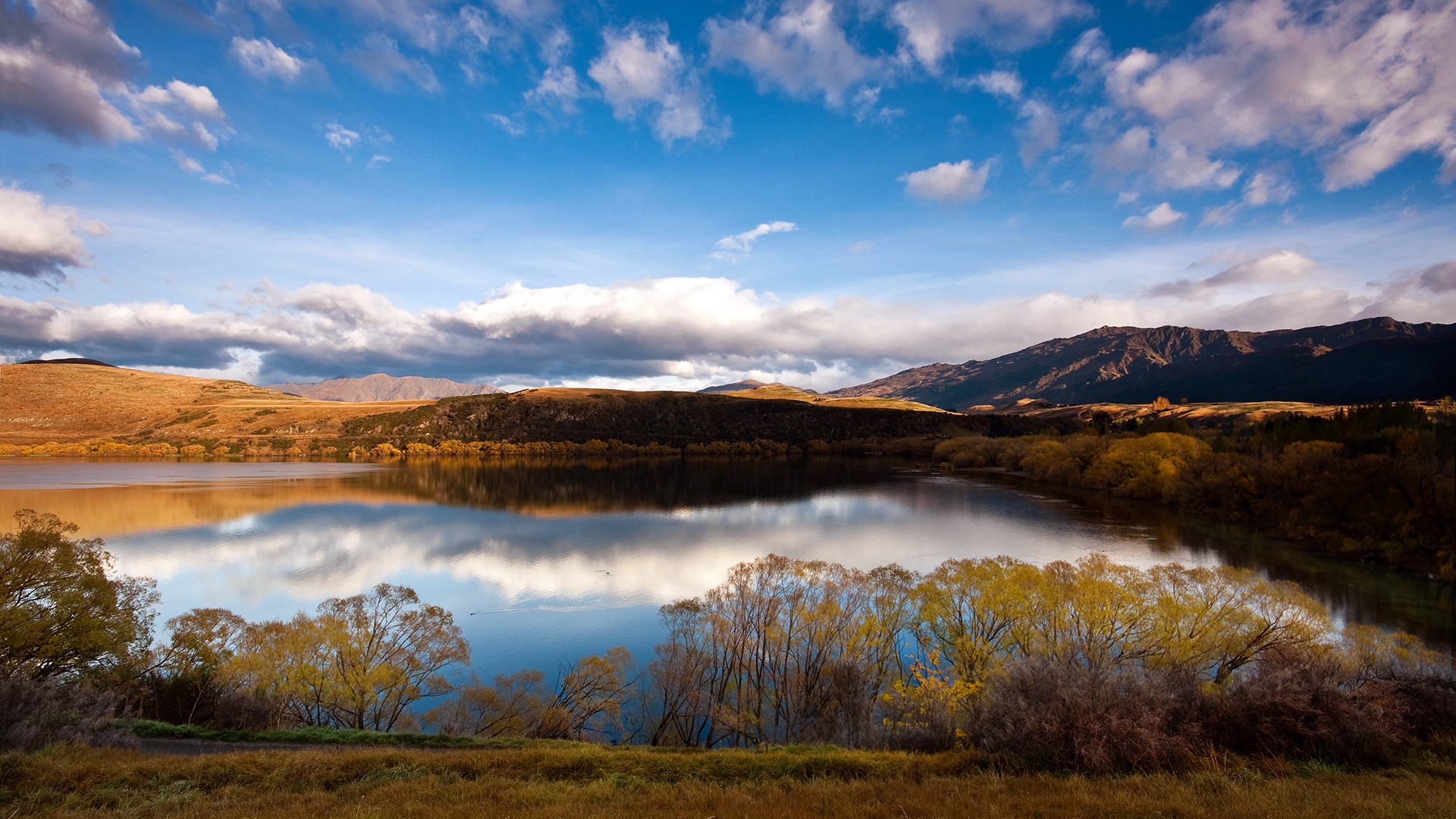 queenstown, новая