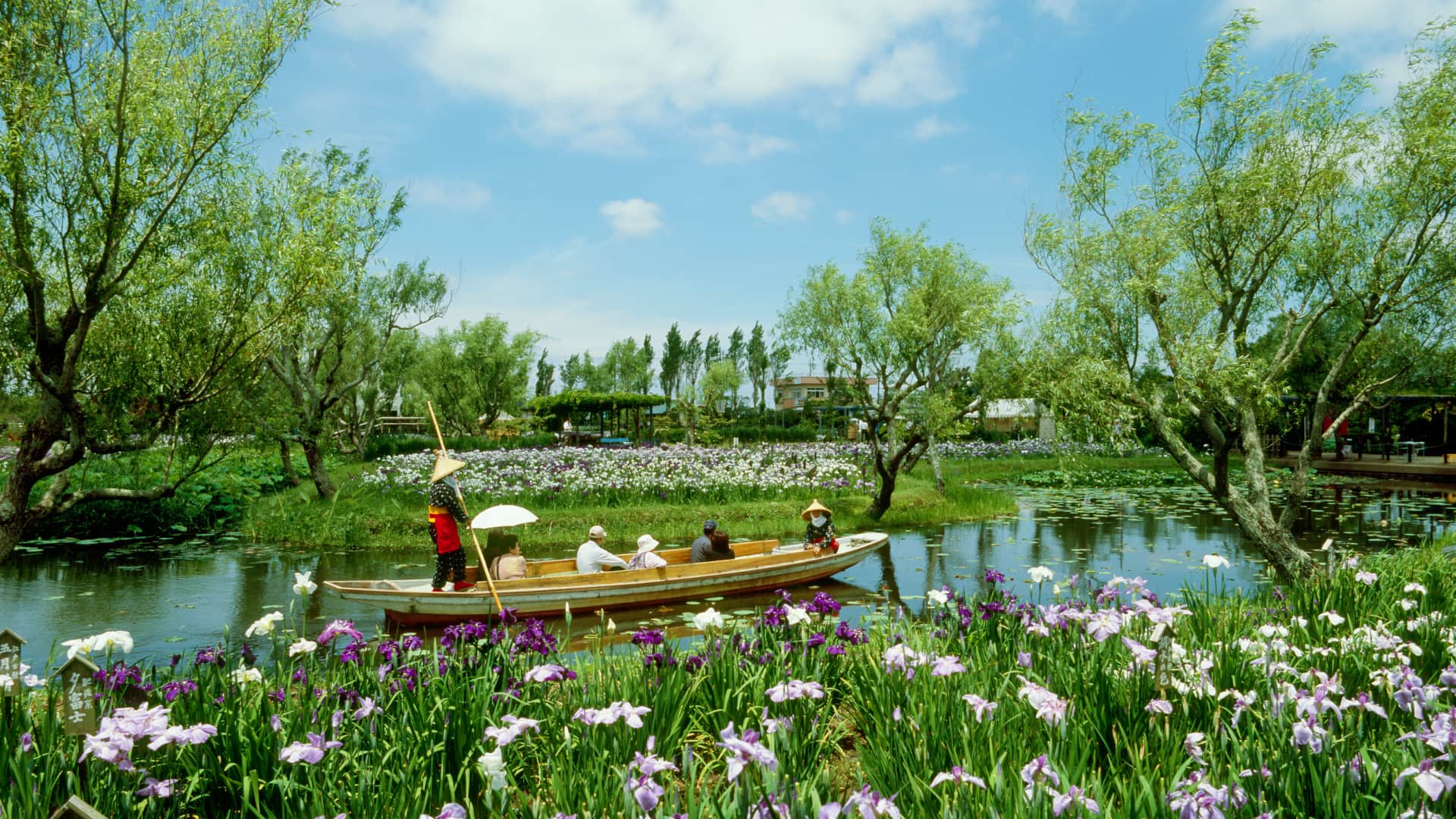 катор, галерея, пилара