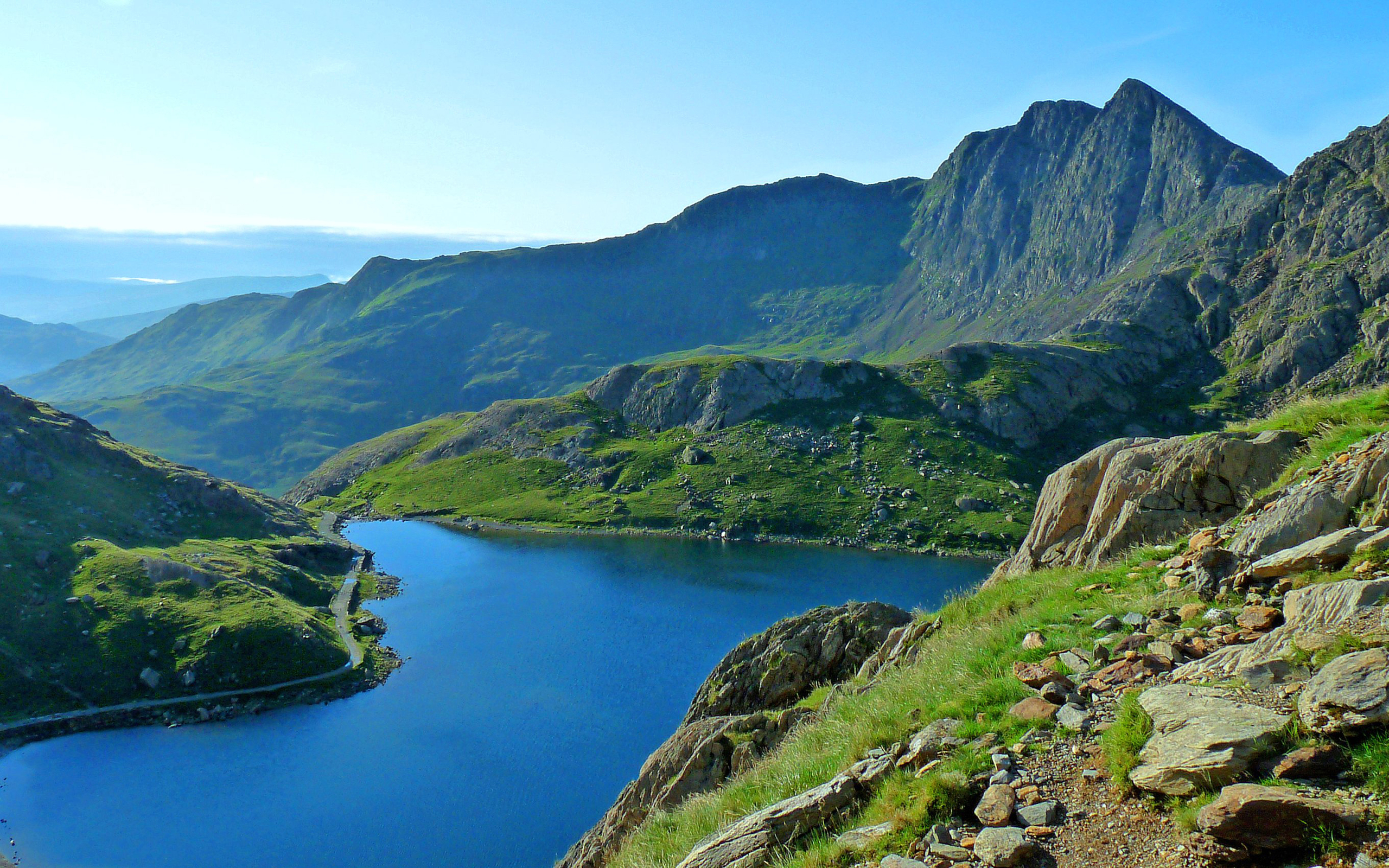 лентяй, плучу, пульп