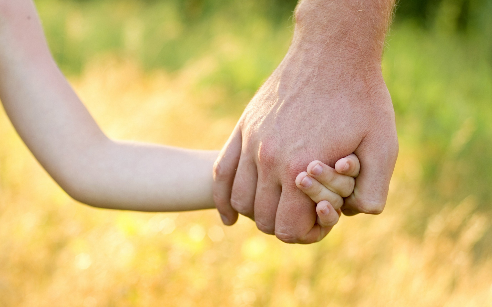 жизни, отец, назад