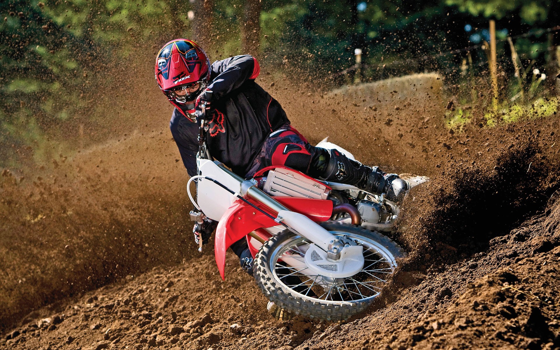 honda,tttttttttttttt
