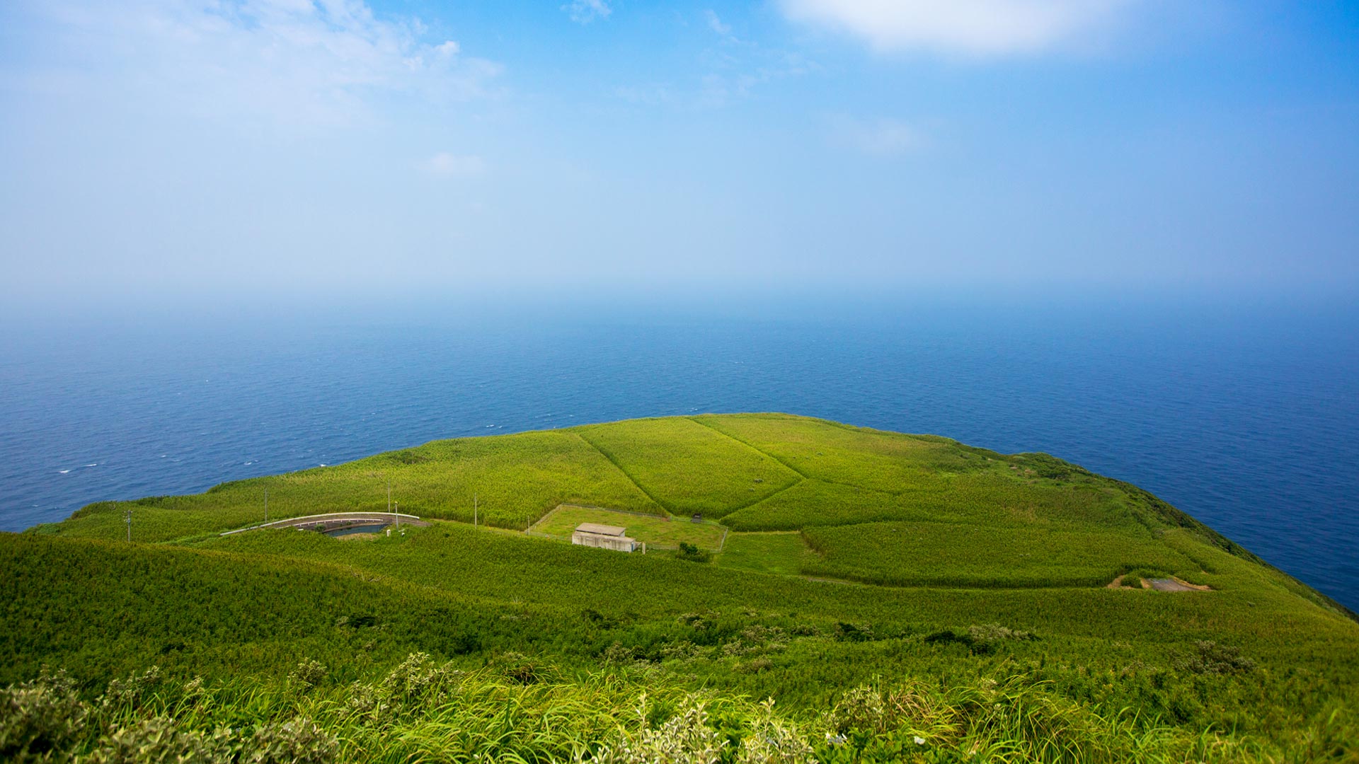 новая зеландия