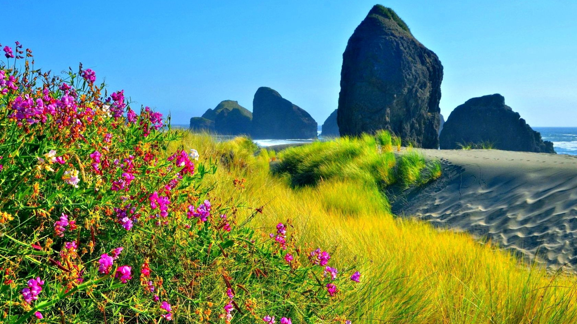 ответы, море, рис