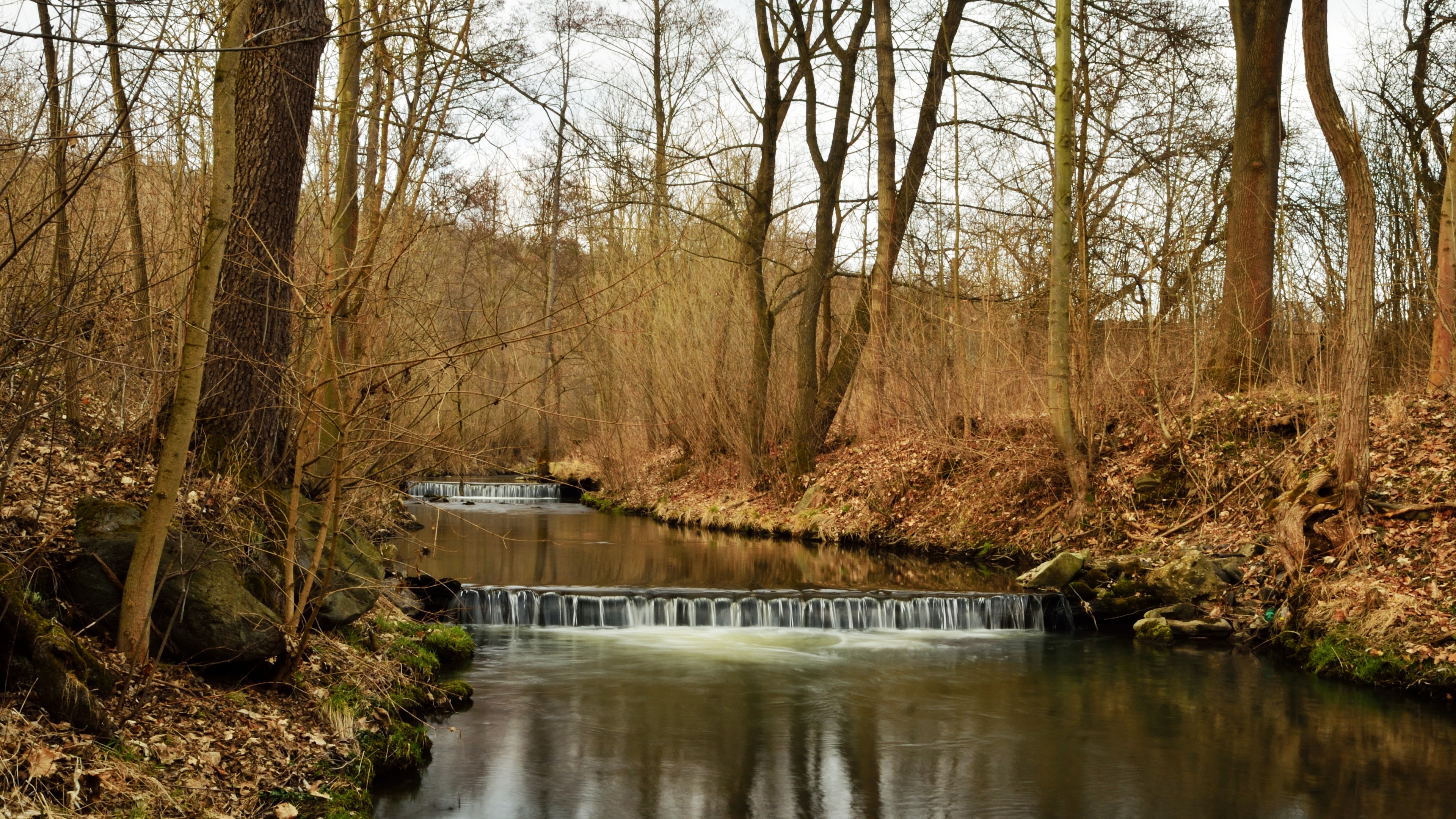 лес, река, раньше