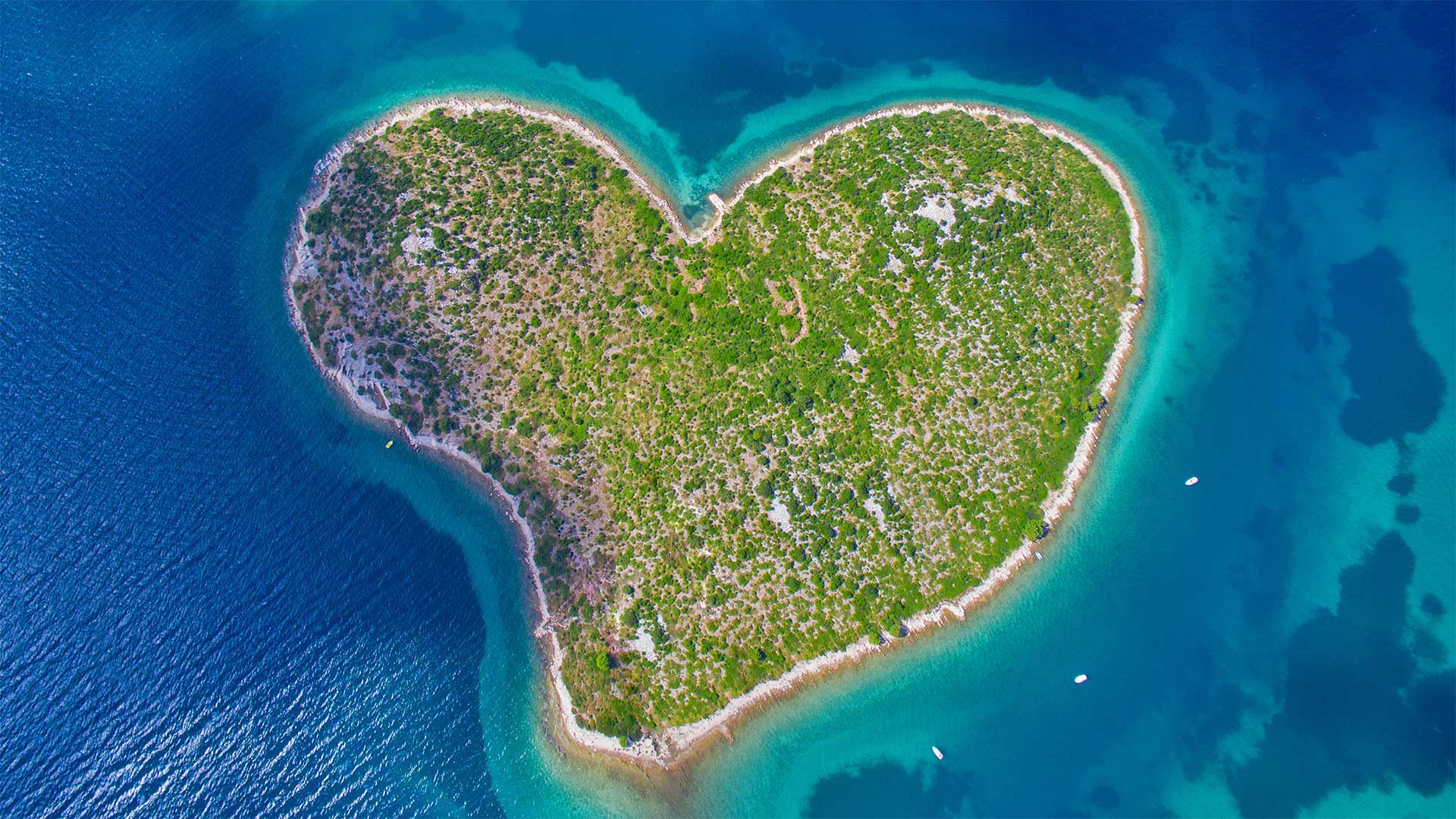 серца, kszta cie, день