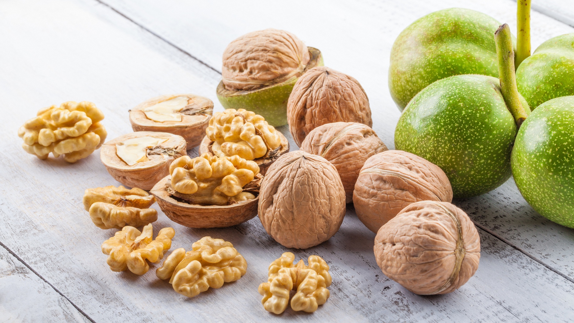 орех, интернет, дерево