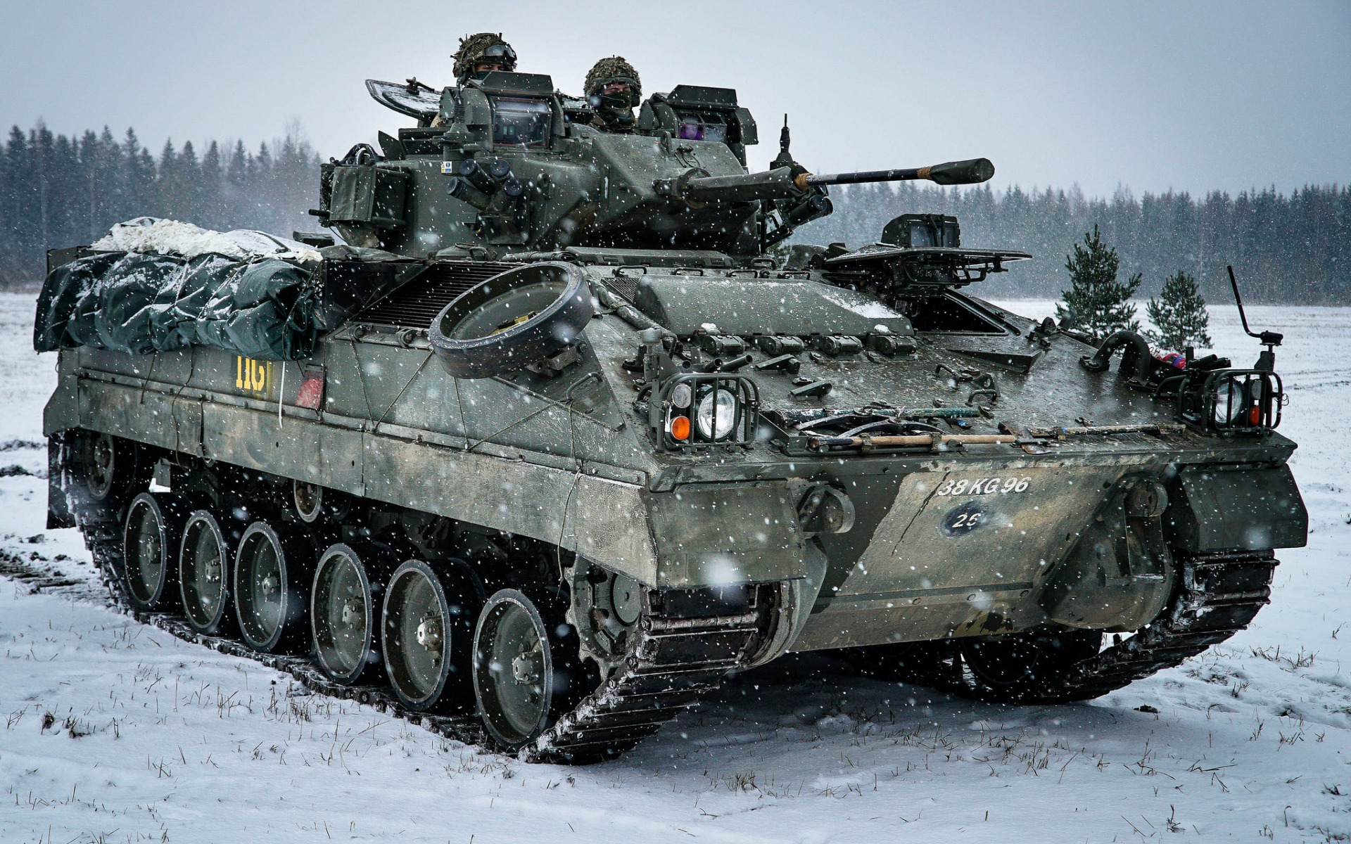 vehículo, puma, vehicle
