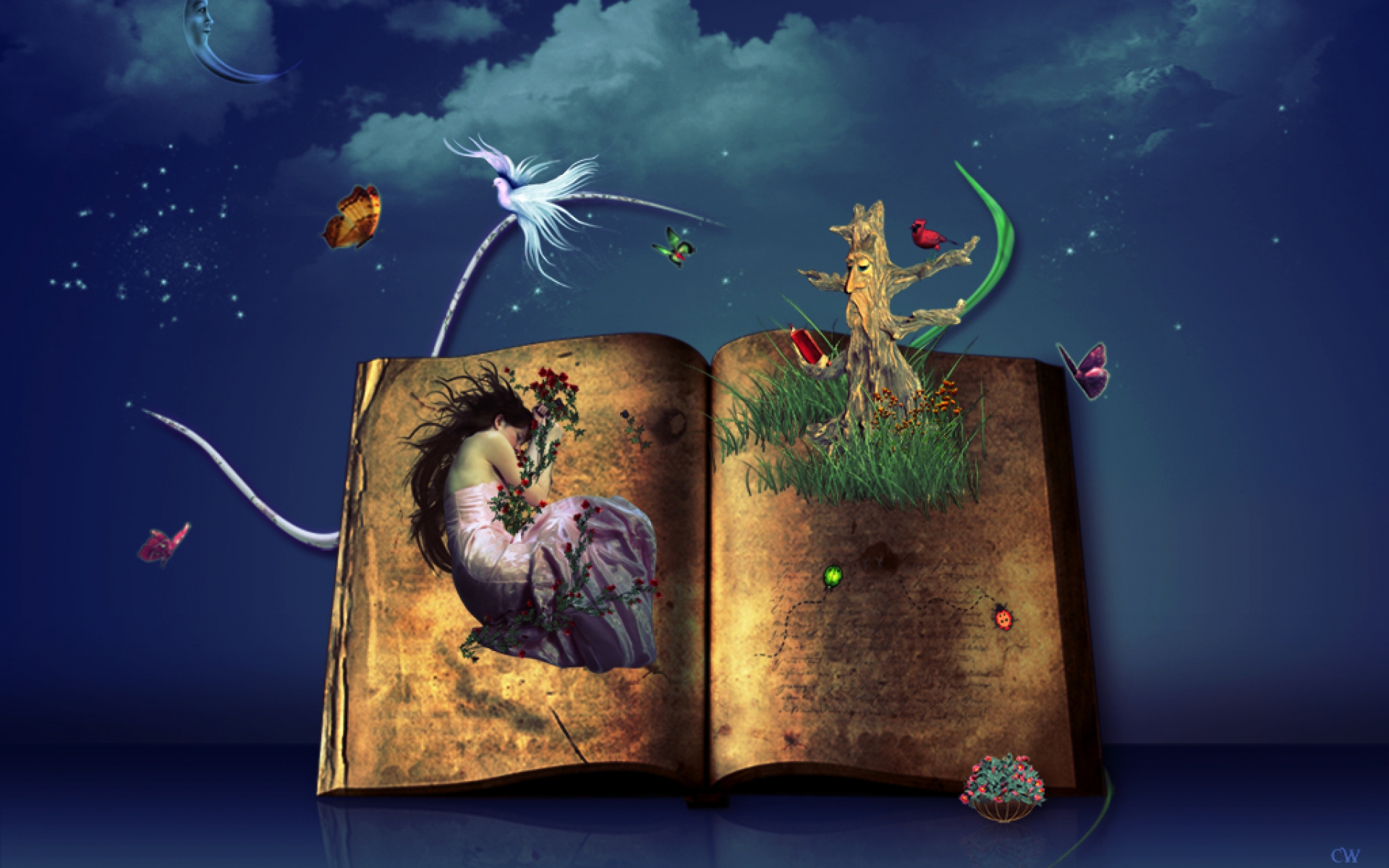 Сказка на ночь приключения. Иллюстрации к книгам. Фантастические книги для детей. Волшебная книга для детей. Красивые иллюстрации к книгам.