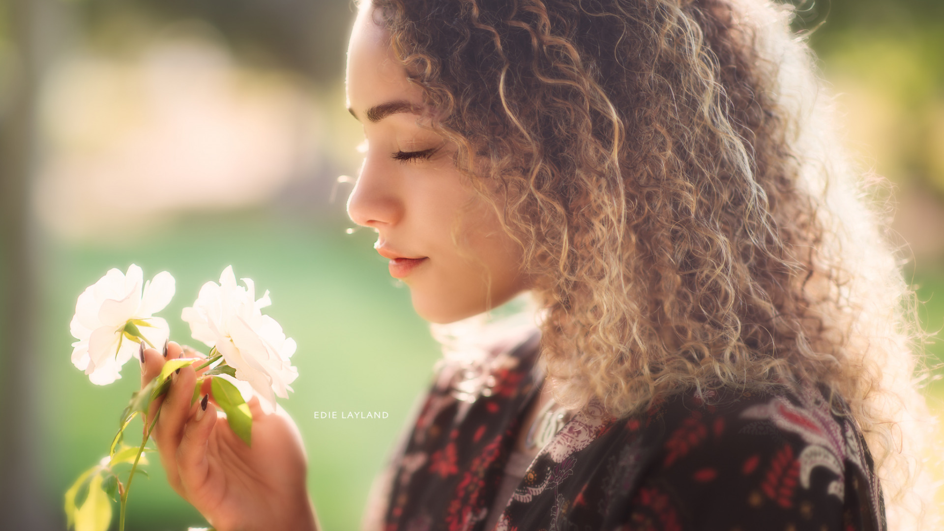 изображения, цвета