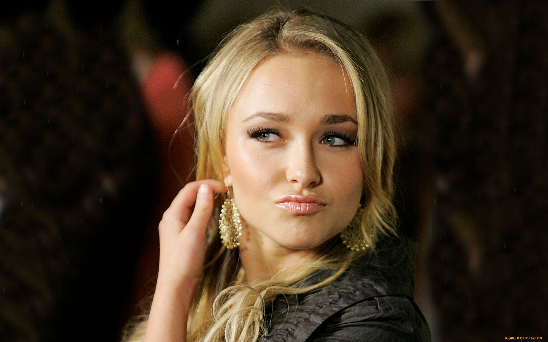 панеттьери, хайден, карр