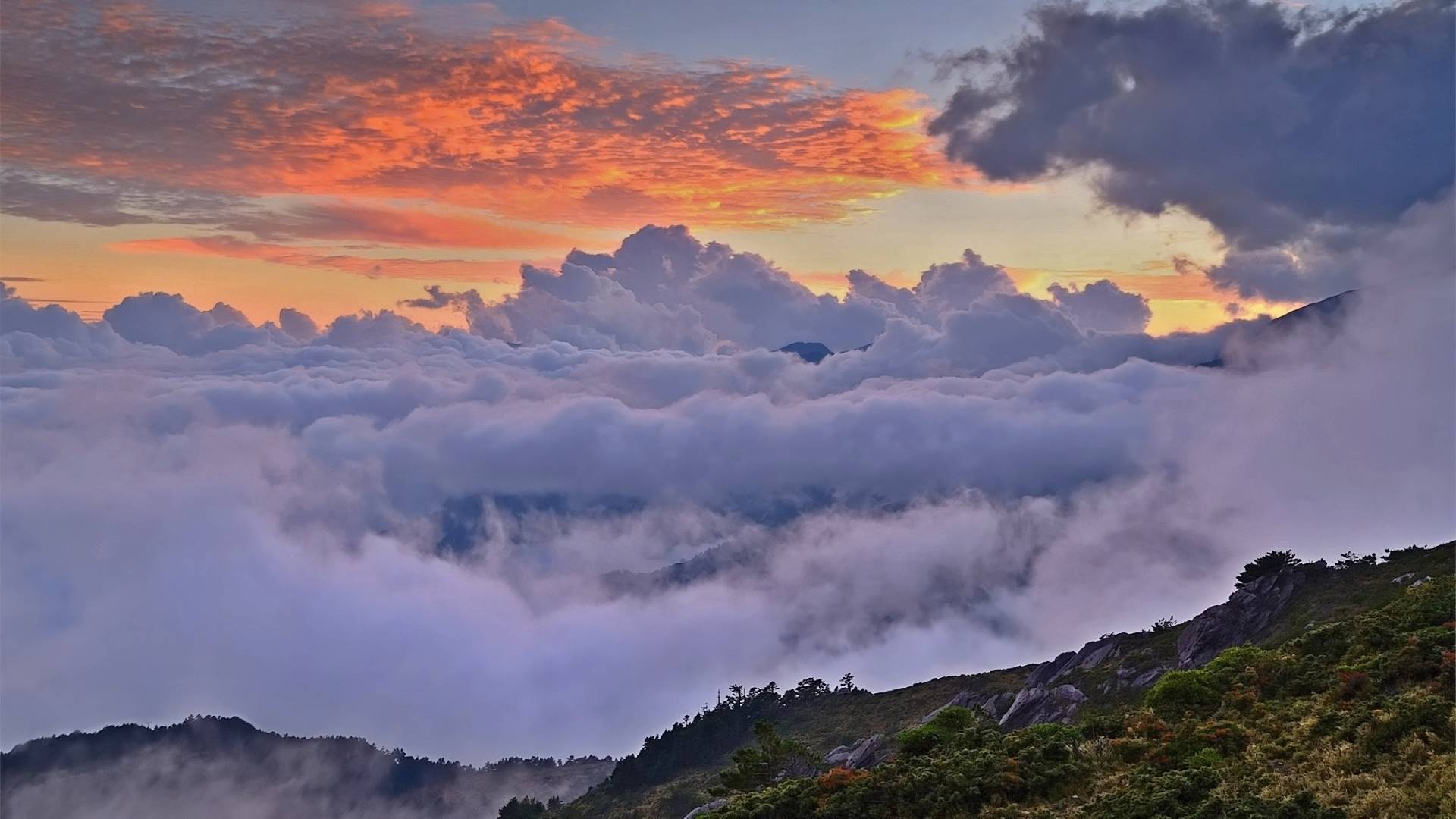 редкие, редкие