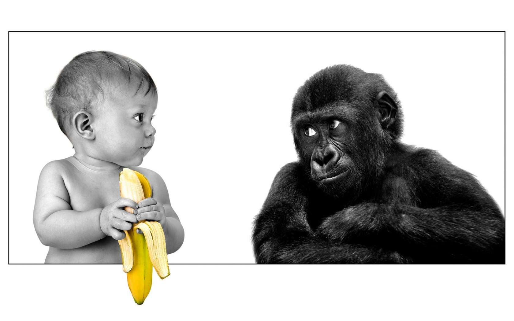 юмор, розыгрыш