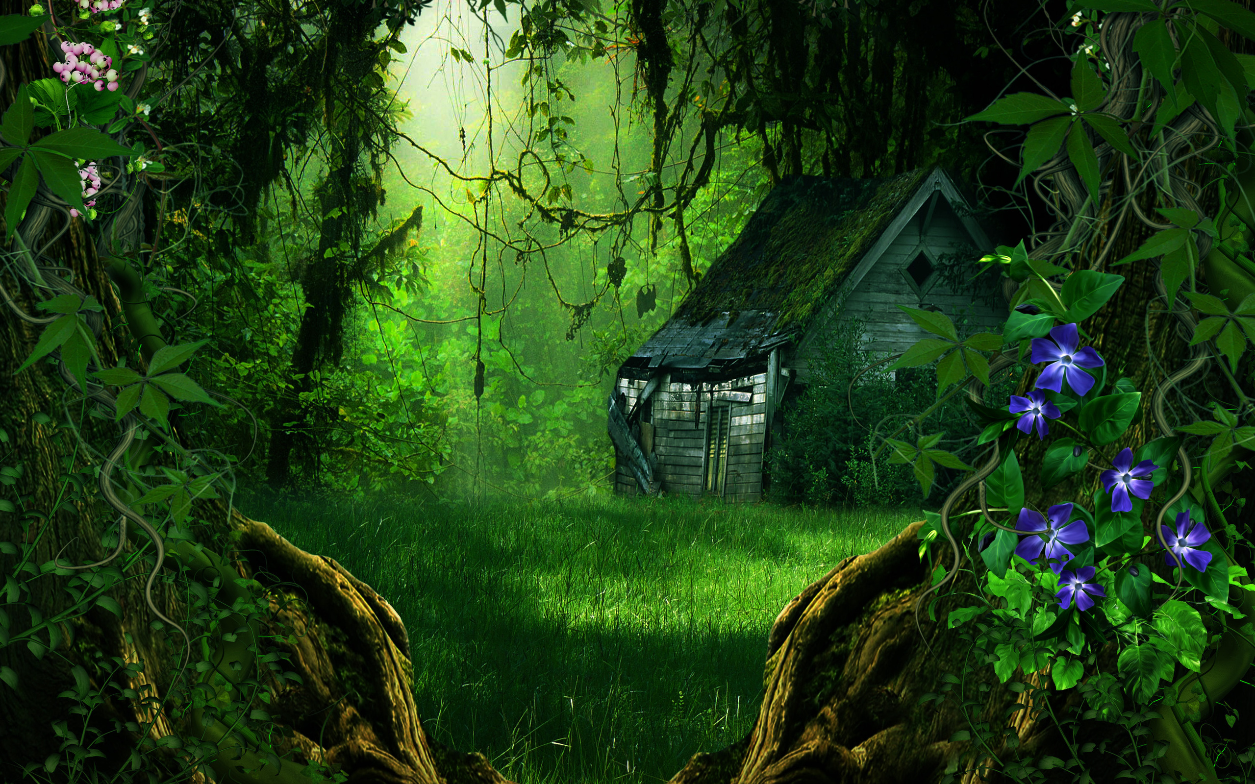 artdigital Разрешение 2560x1600