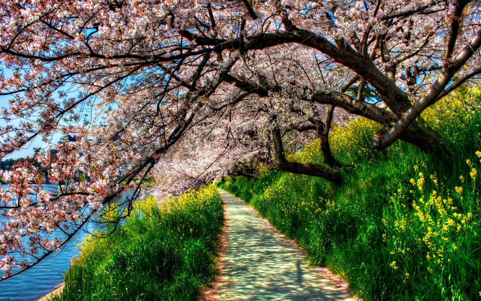 природа цветы деревья весна загрузить