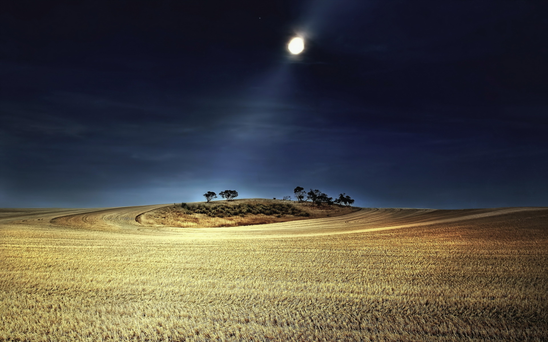 Night field. Степь ночью. Ночное поле. Пейзаж с луной. Луна в степи.