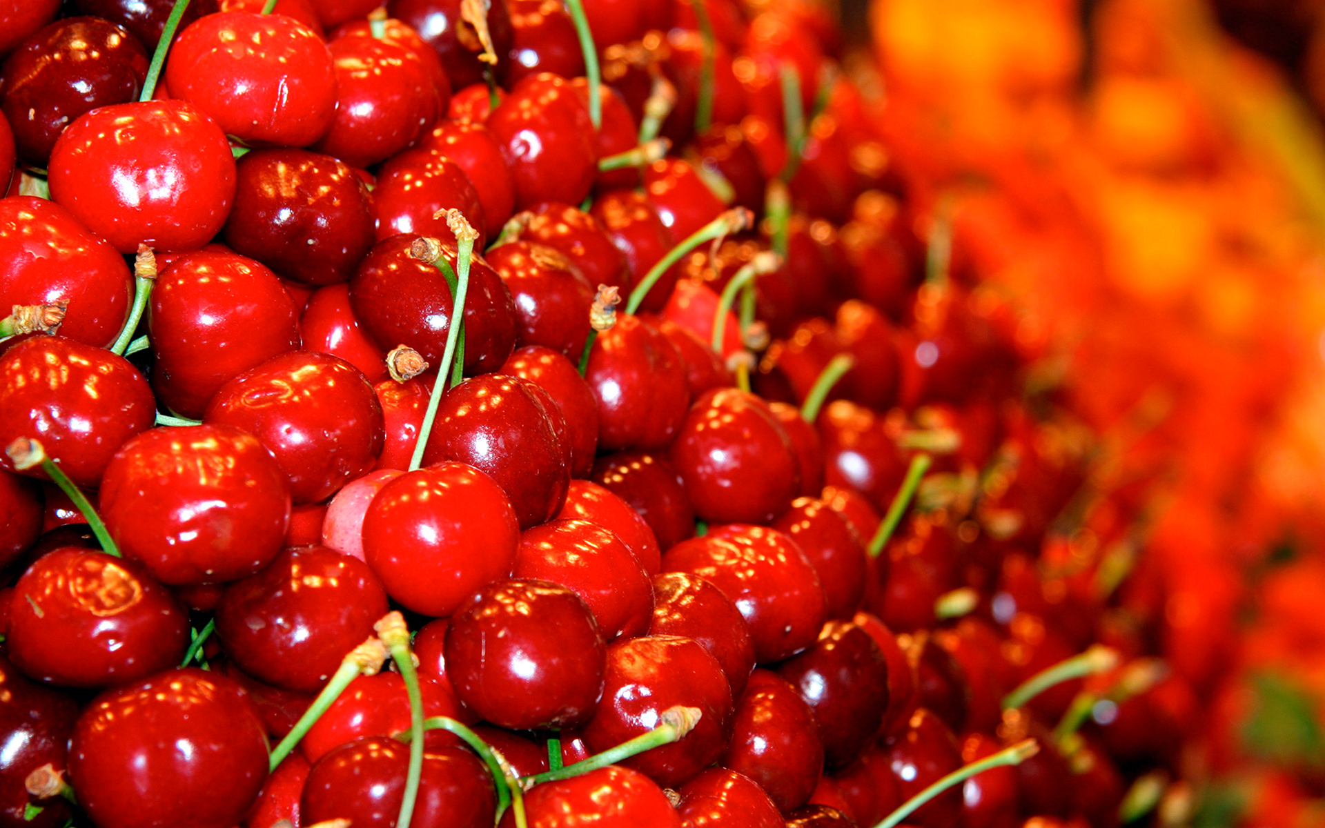 красивые, макро, еда