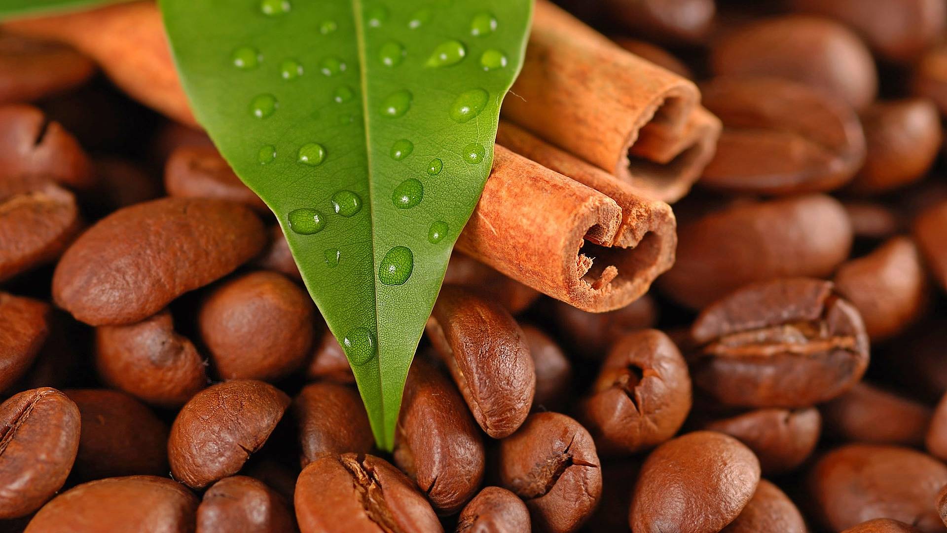 coffee, картинка, product