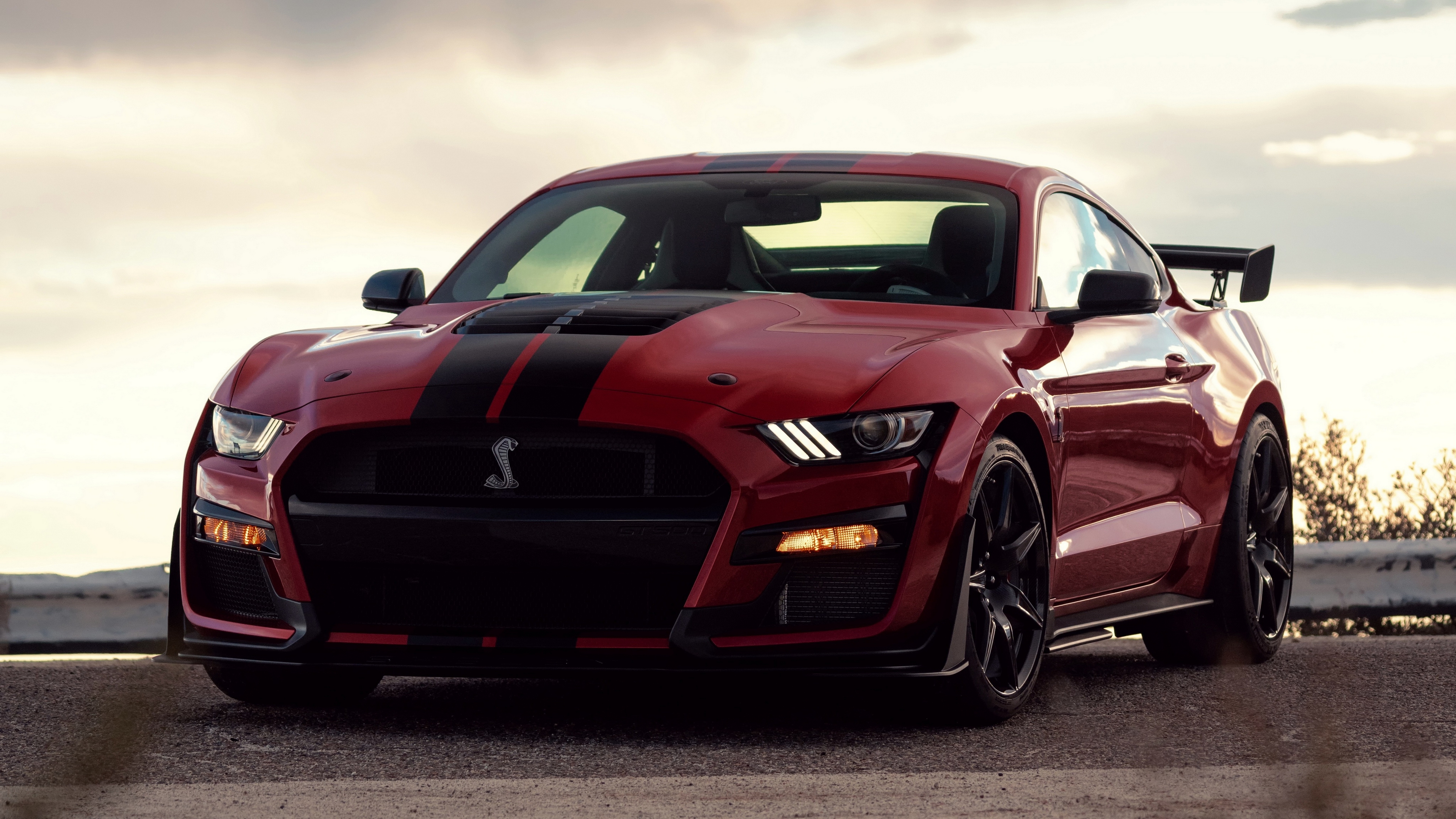 mustang, ford, shelby