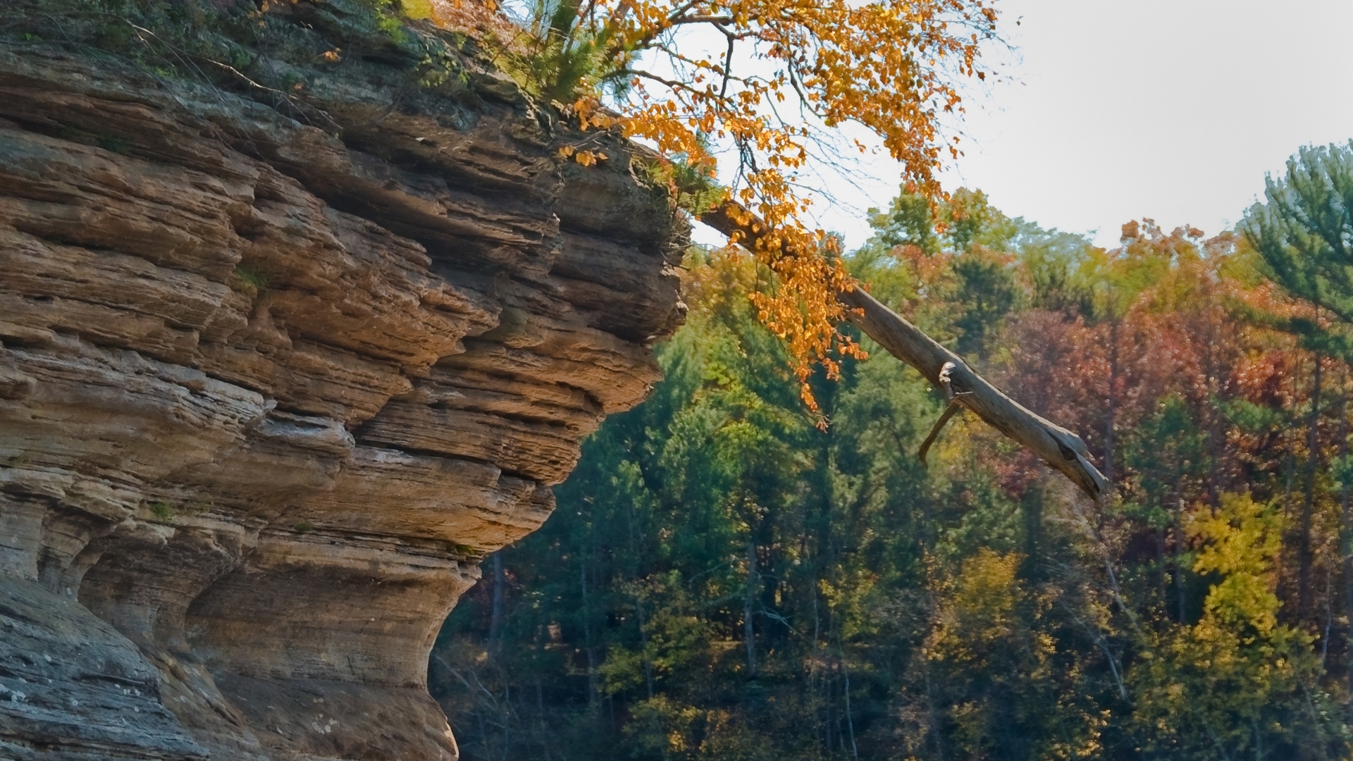 природа, обои Разрешение 1920x1080