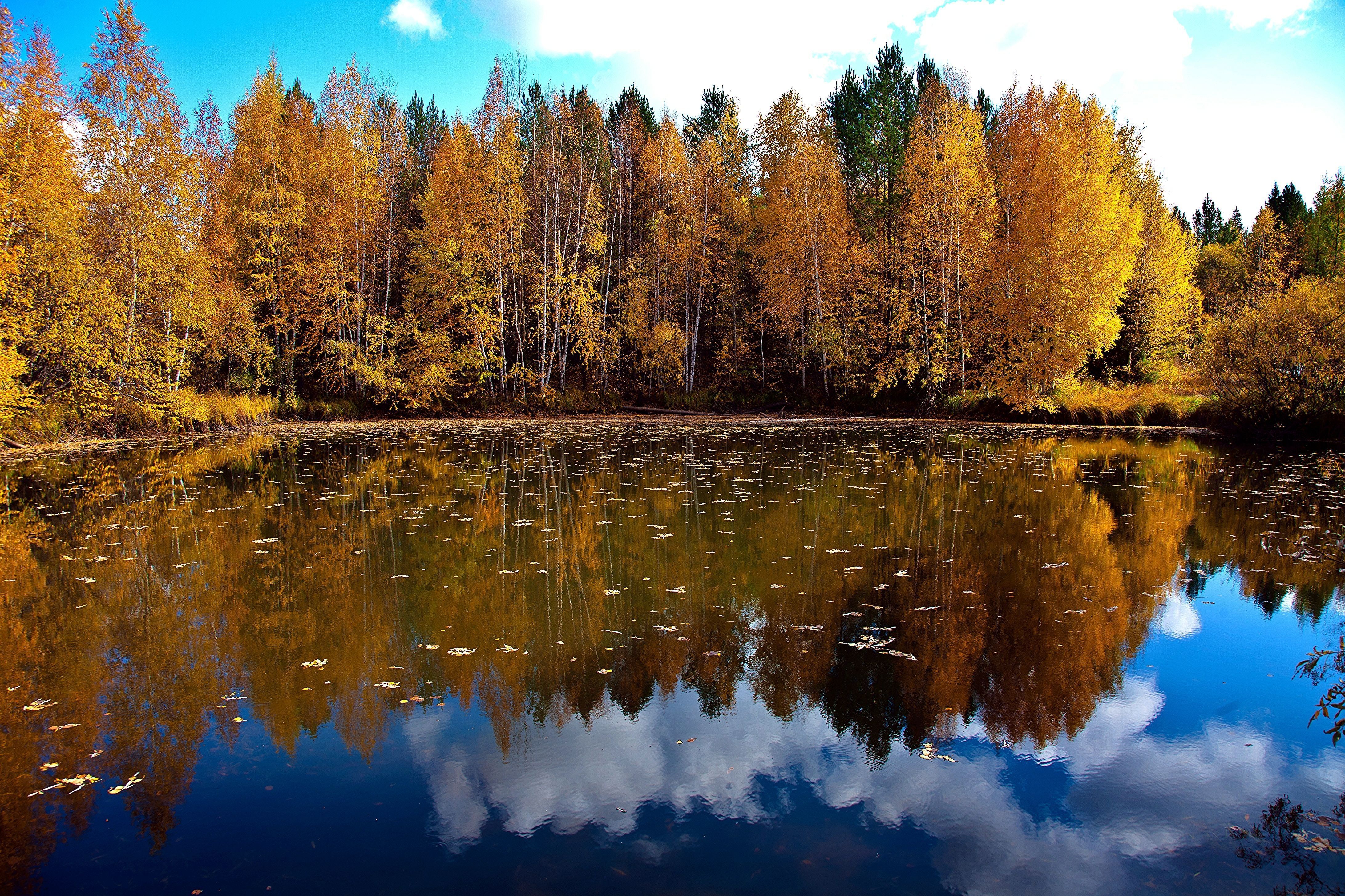 Отражение Осени В Воде Фото