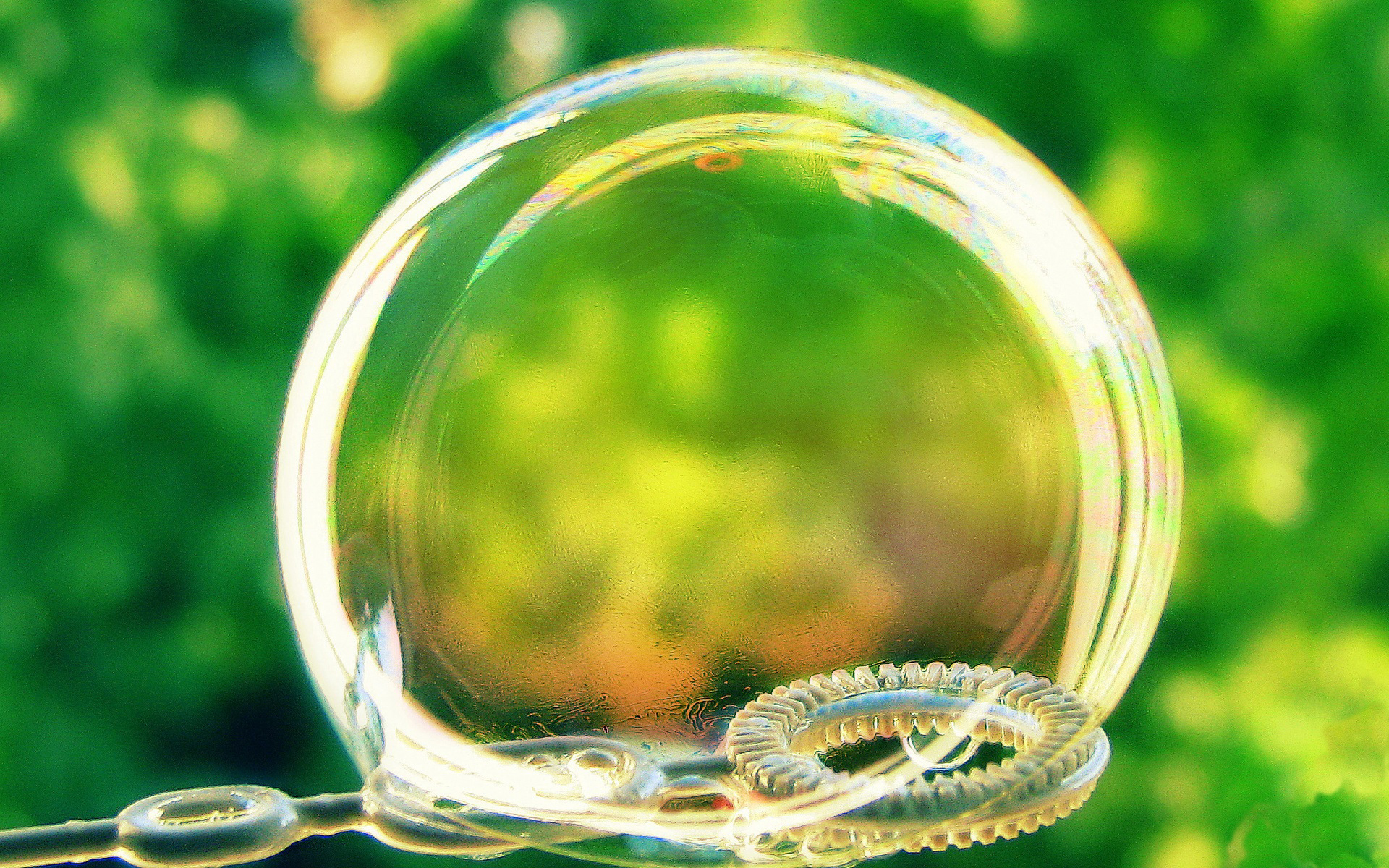 bubble, мыло, макро