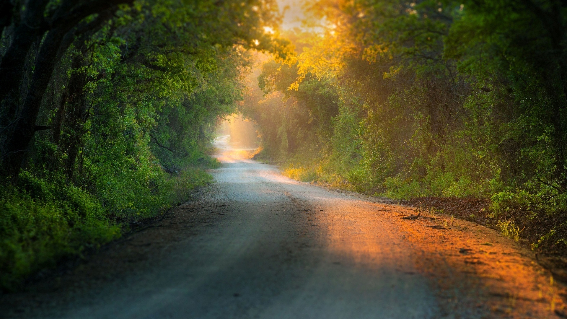 зрелые, святые