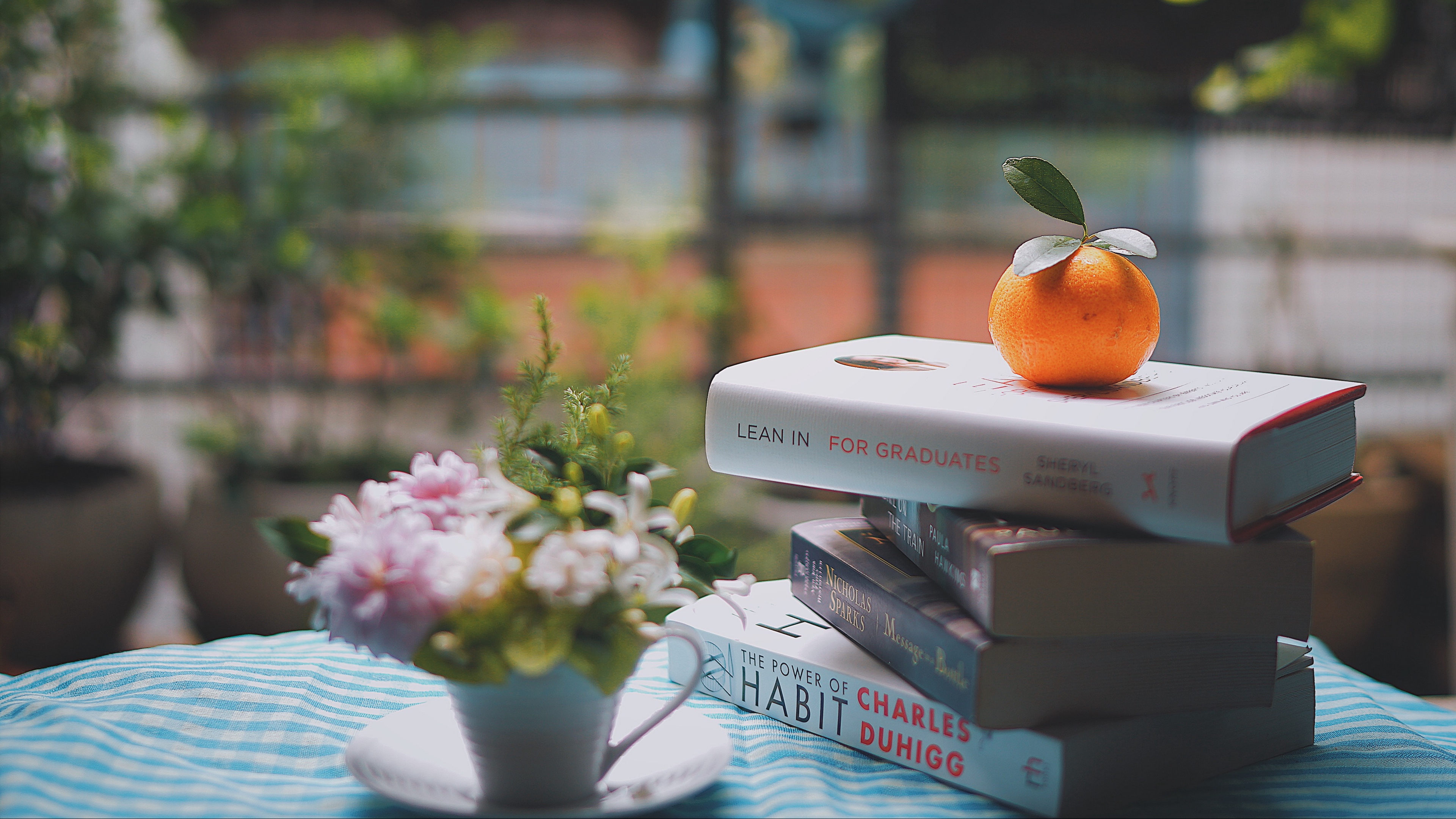 свет, книга, чтение