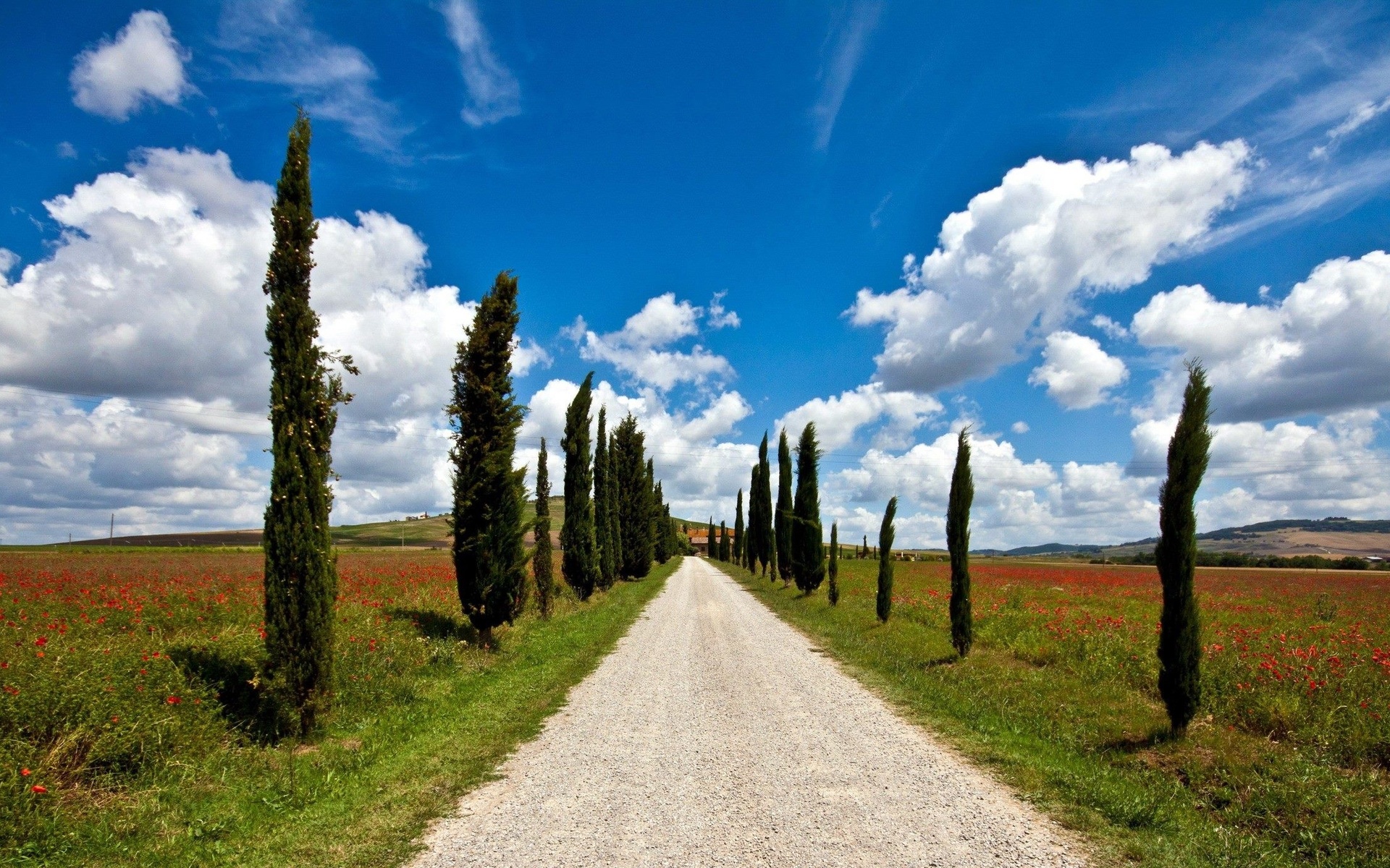 google, raspraco shchykii, tuscany