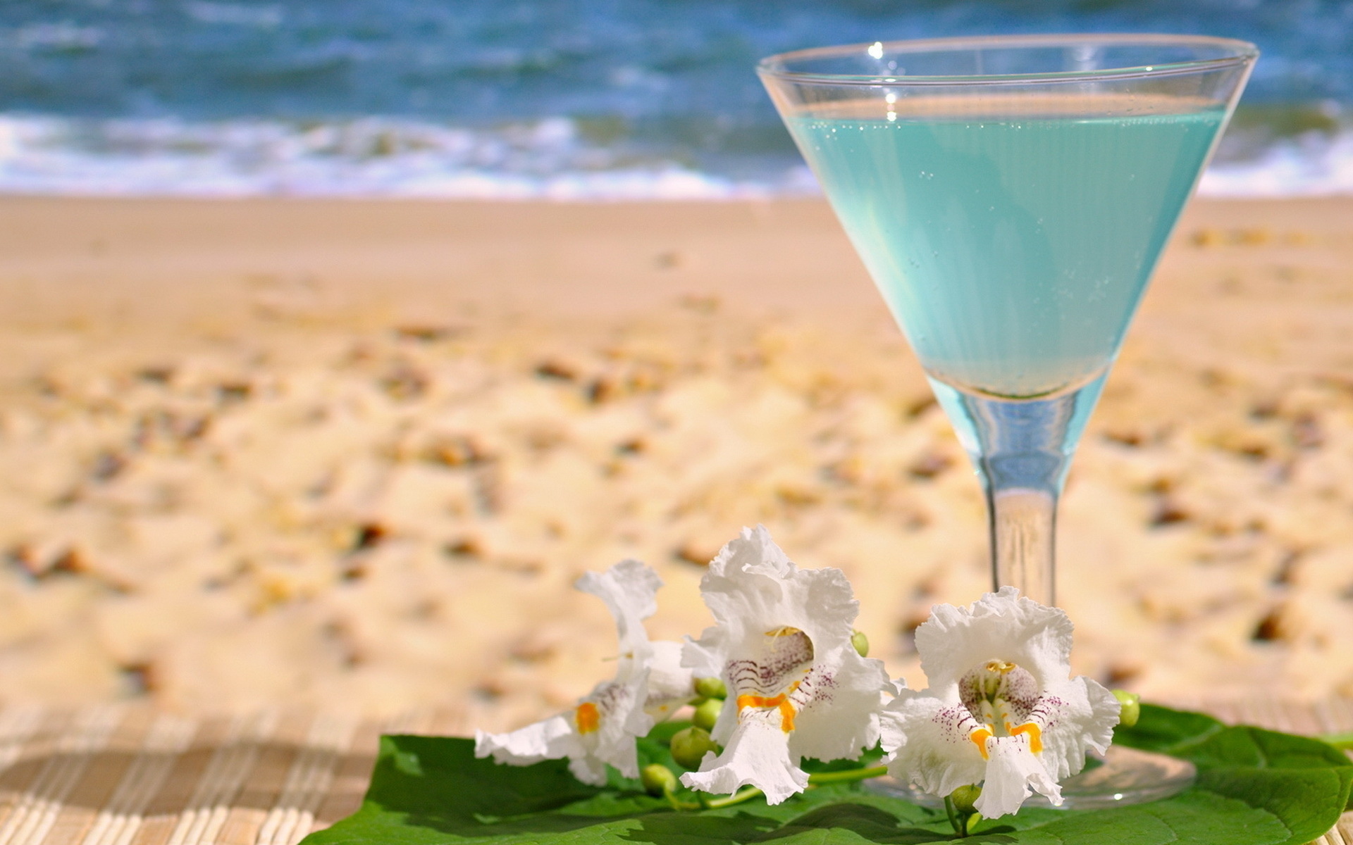 Голубой коктейль на берегу с цветками бесплатно