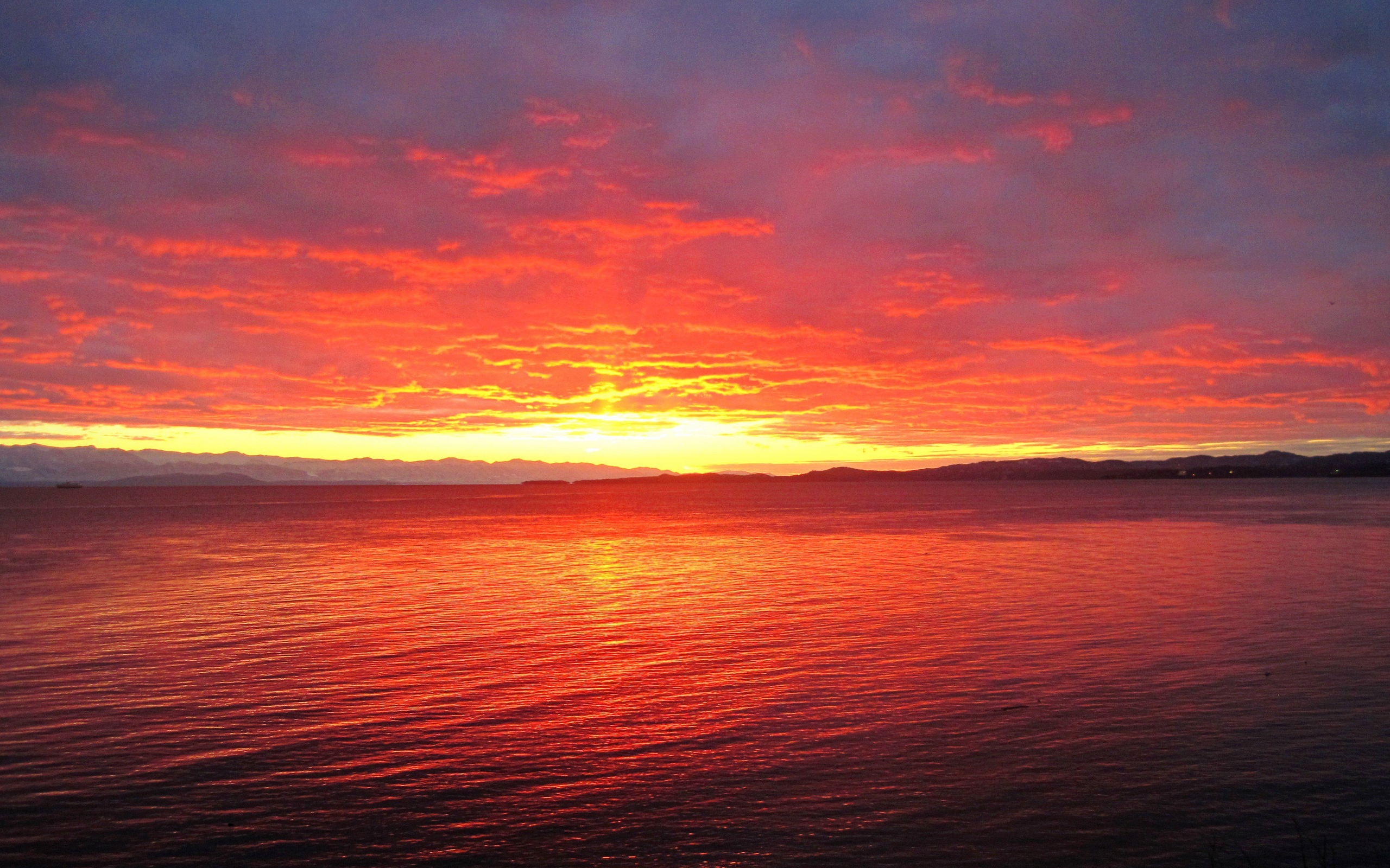 покрасить, архив